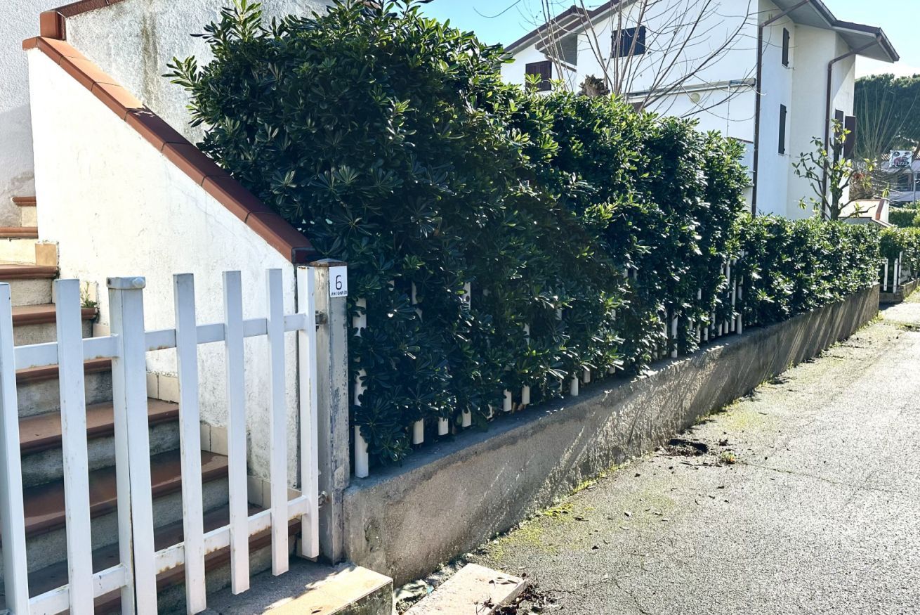 A residential area with a white fence, a concrete wall, and a row of bushes.