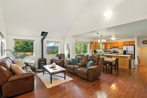 Smart TV, fireplace, books