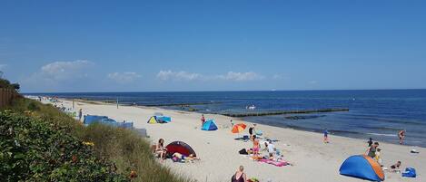 Una spiaggia nelle vicinanze