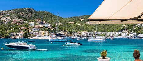 Área da propriedade