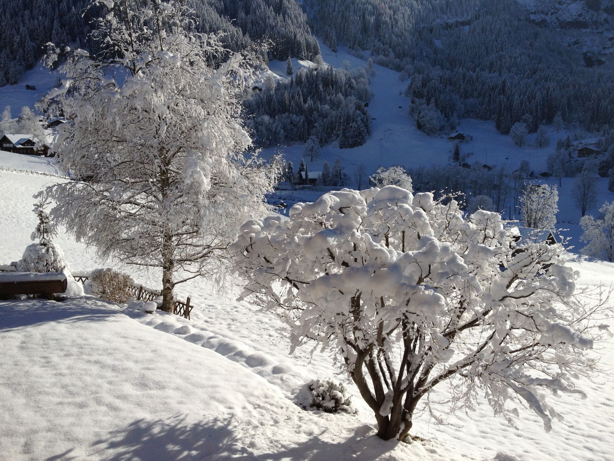 A snow-covered landscape with trees and a wooden fence.
