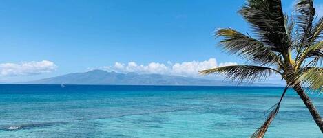 Sun-loungers, beach towels