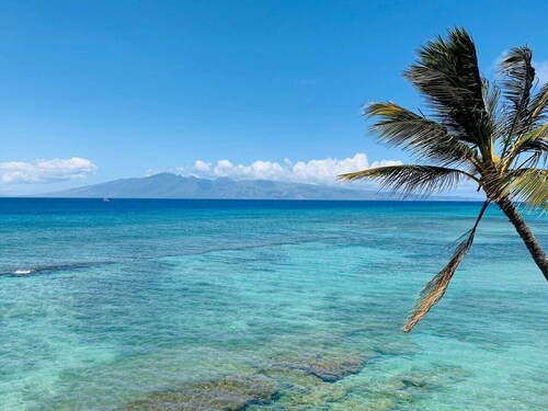 Deep discount: Insane views! Hear the waves crash!