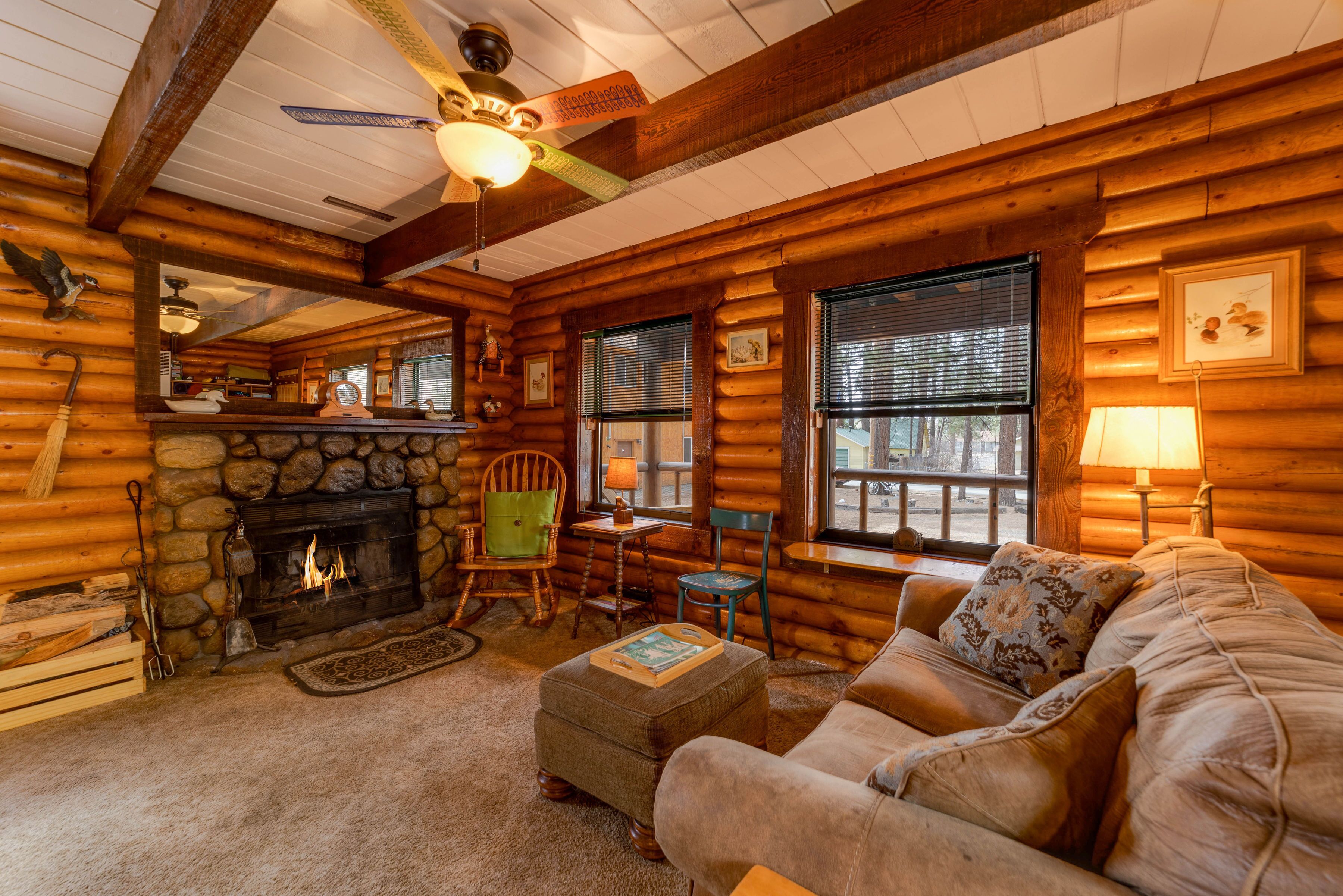 Télévision, cheminée, lecteur de DVD, livres