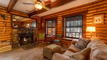 Télévision, cheminée, lecteur de DVD, livres