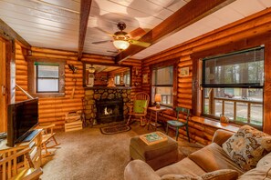 TV, fireplace, DVD player, books