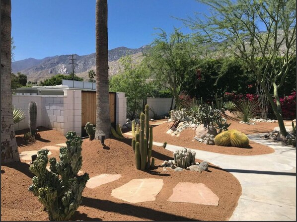 A desert garden with cacti, a palm tree, and a stone pathway. - Mid-Century Desert Oasis Private Pool & Spa (Palm Springs)