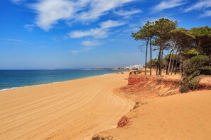 Une plage avec un ciel dégagé, un rivage sablonneux et une rangée d’arbres.