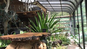 Une table en bois rustique, dotée d’une finition naturelle, entourée de différentes plantes vertes et d’un espace clos par des parois de verre, offrant une vue sur l’extérieur.