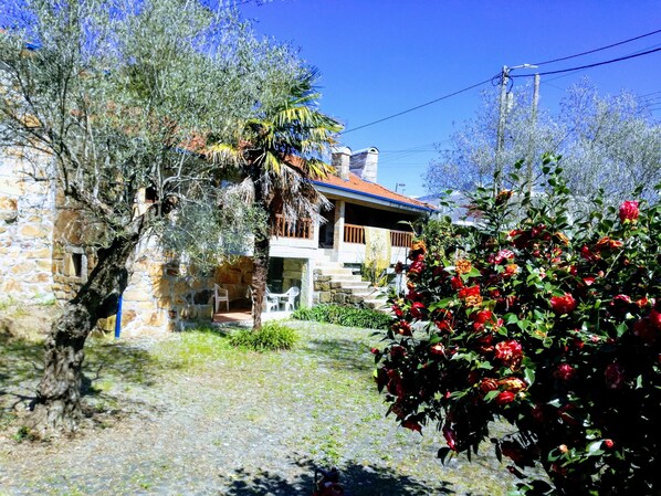 Property grounds - Casa da Costeira your farm in the middle of nature. All the space just for you. (Paços de Ferreira)