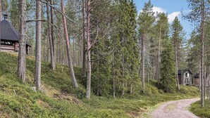 A forested area with a gravel path leading to a cabin. - Sompsanniemi by Interhome (Kuusamo)