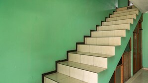 Un escalier avec un mur vert et des portes en bois.