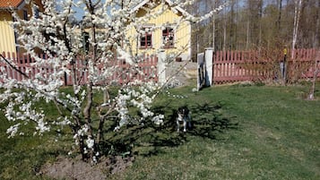 Overnatningsstedets område