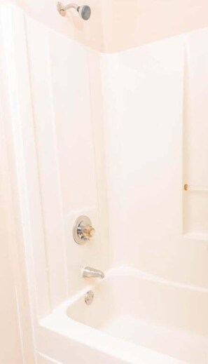Combined shower/tub, hair dryer, towels, shampoo