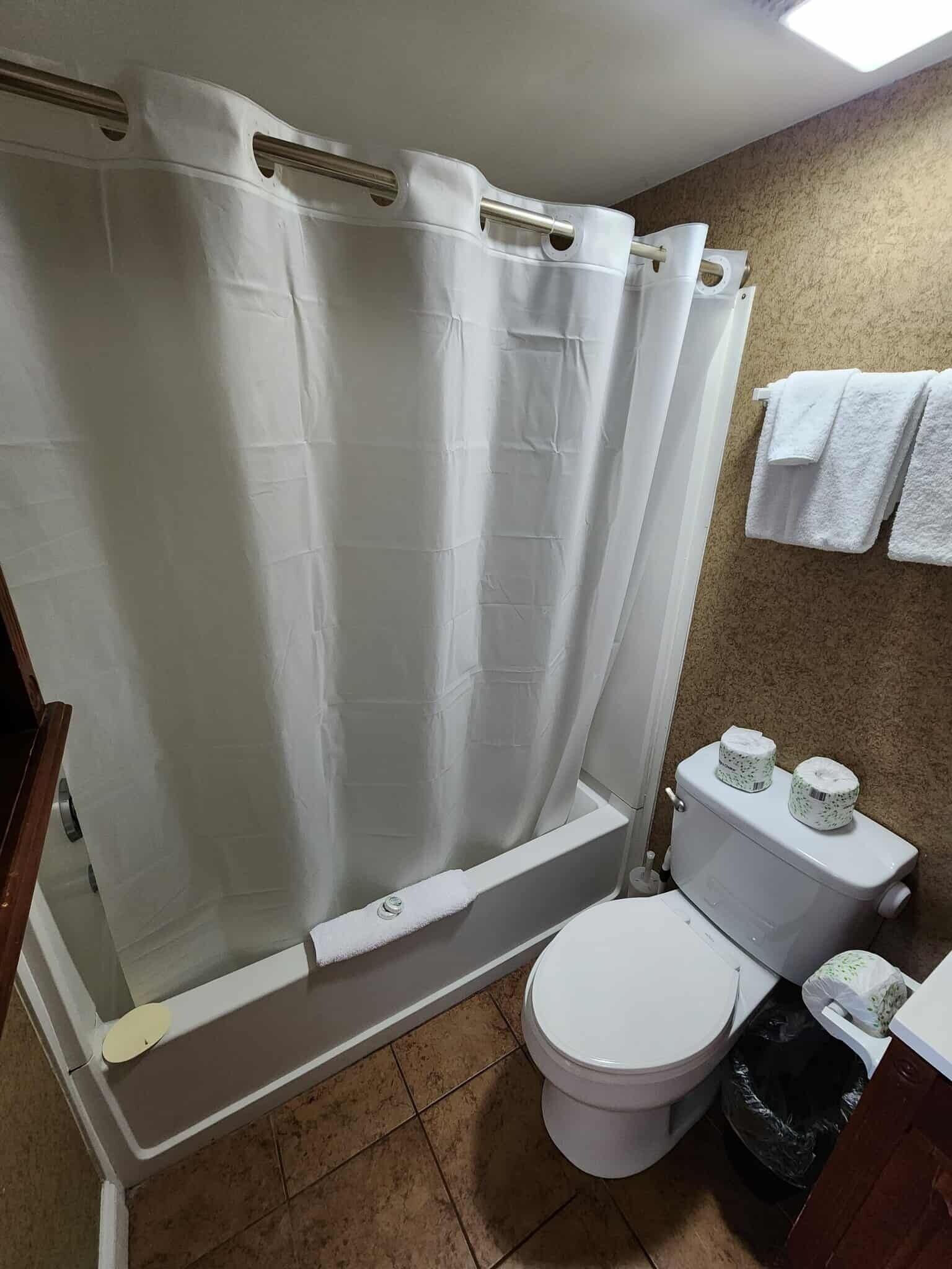Ensemble douche/baignoire, sèche-cheveux, serviettes fournies, shampoing