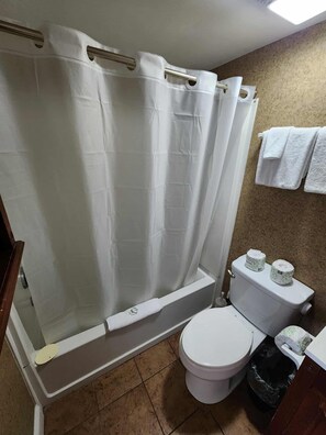 Ensemble douche/baignoire, sèche-cheveux, serviettes fournies, shampoing