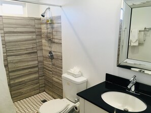 Shower, hair dryer, towels, shampoo
