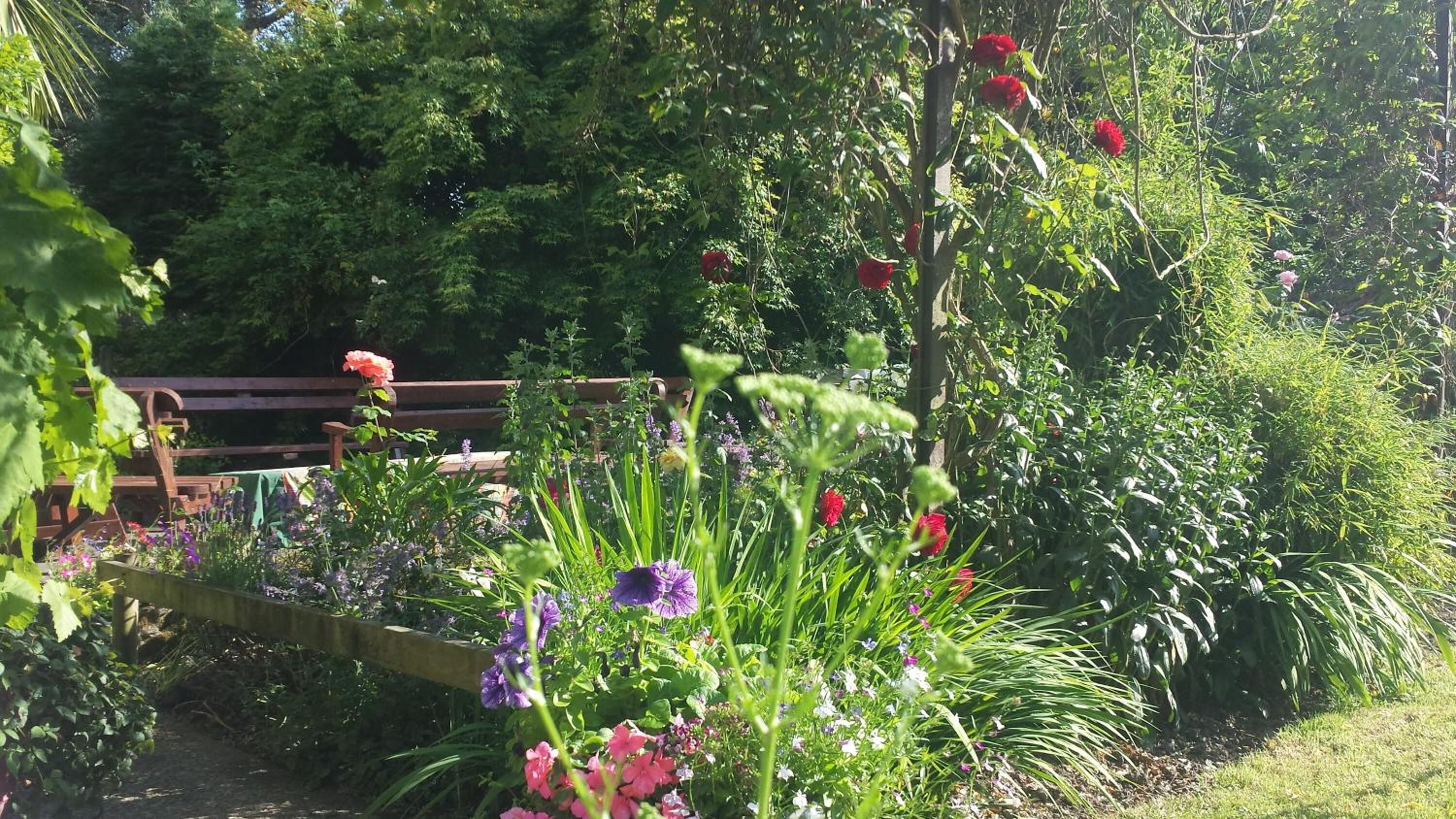 A garden with a variety of flowers and plants, a wooden bench, and a wooden fence.