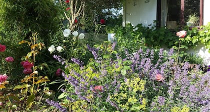 Riverfield Bed and Breakfast