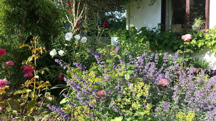 Riverfield Bed and Breakfast