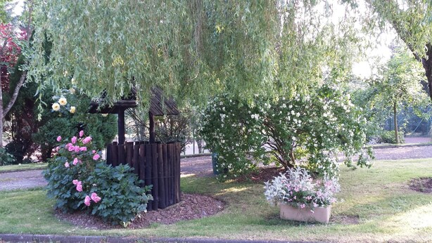 A garden with a wooden structure, flowering bushes, and a weeping willow tree. - Riverfield Bed and Breakfast (Gorey)