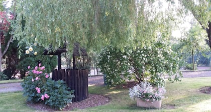 Riverfield Bed and Breakfast