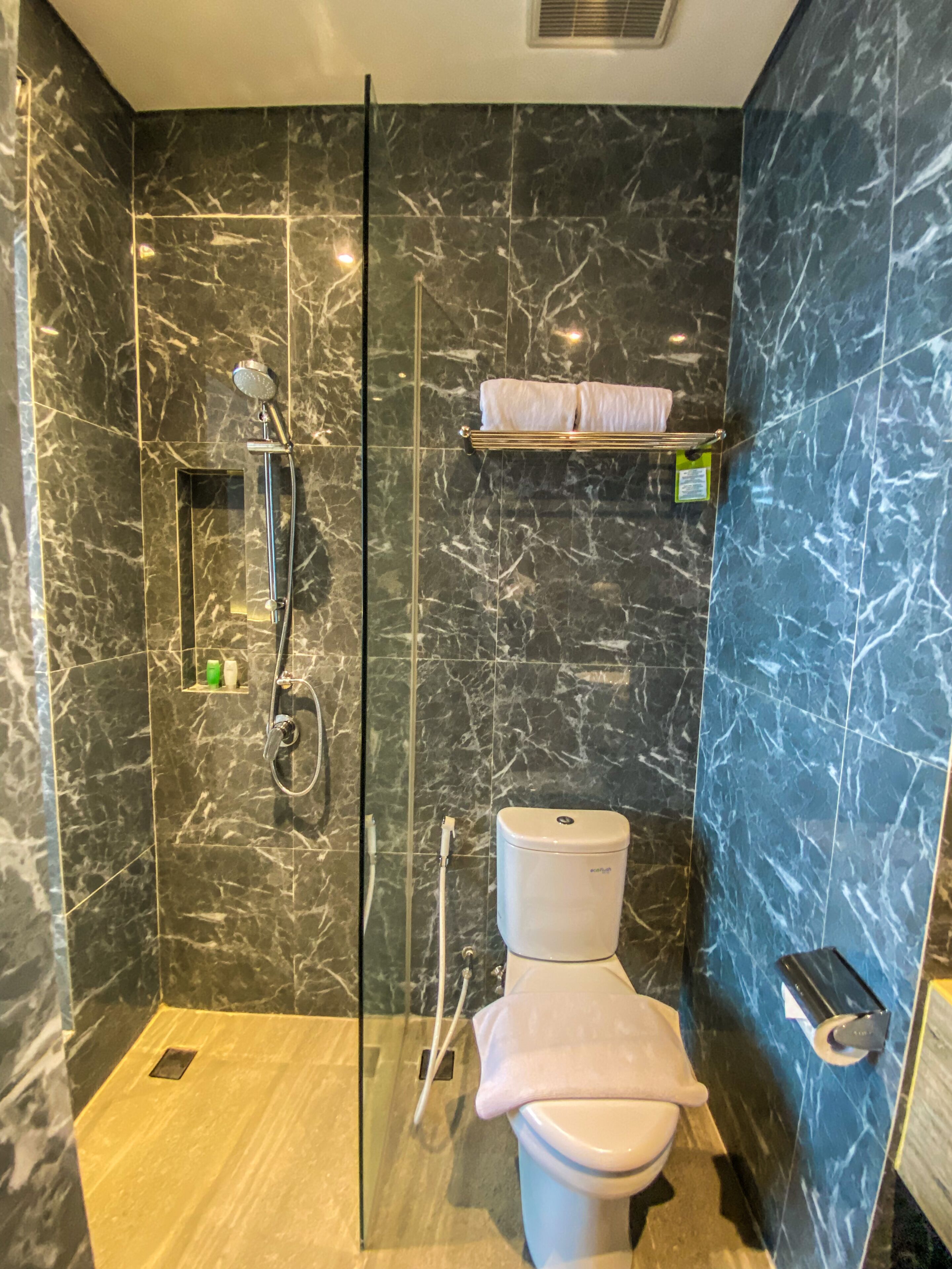 A modern bathroom with a glass-enclosed shower, a toilet, and a sink.