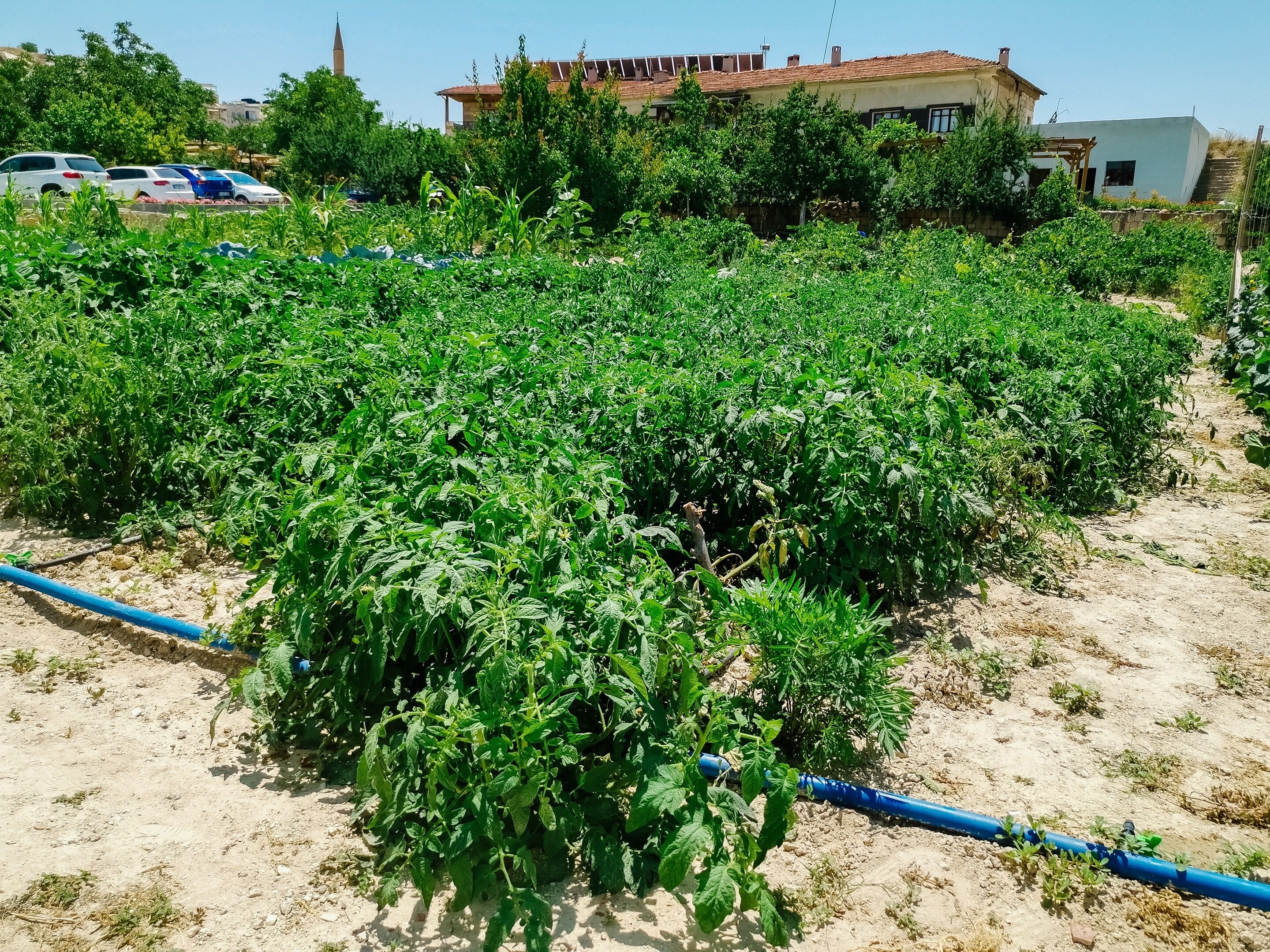 Photo - Garden Inn Cappadocia