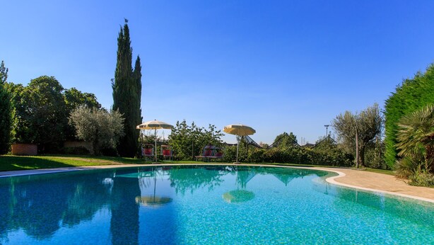 A clear blue swimming pool with lounge chairs and umbrellas, surrounded by greenery and a tall tree. - Agriturismo La Molinalda (Castelnuovo del Garda)