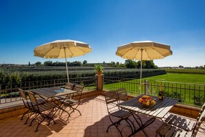 Apartment, 2 Bedrooms, Terrace | Terrace/patio - Agriturismo La Molinalda (Castelnuovo del Garda)