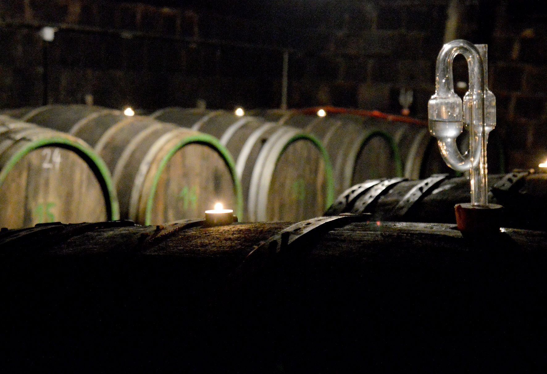 A dimly lit room with large wooden barrels in the background and a metal object in the foreground.