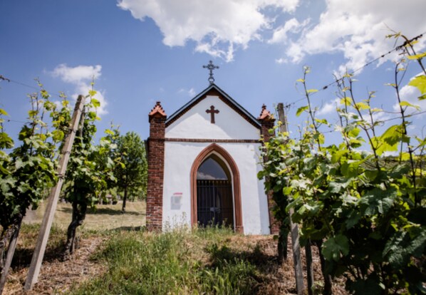 Winery - Weinvilla Heinrichshof (Zeltingen-Rachtig)