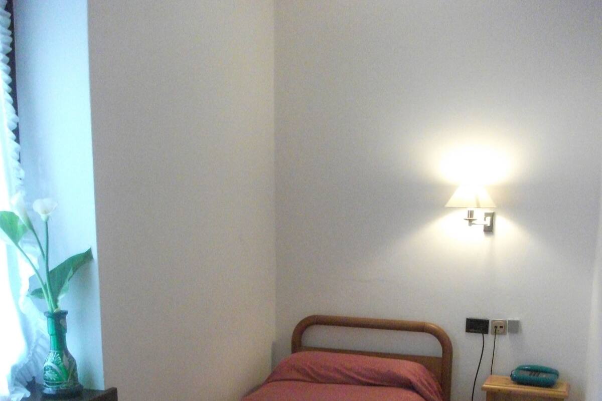 Habitación individual | Caja de seguridad en la habitación, camas extra y ropa de cama