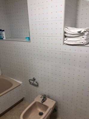 Bathtub, hair dryer, bidet, towels