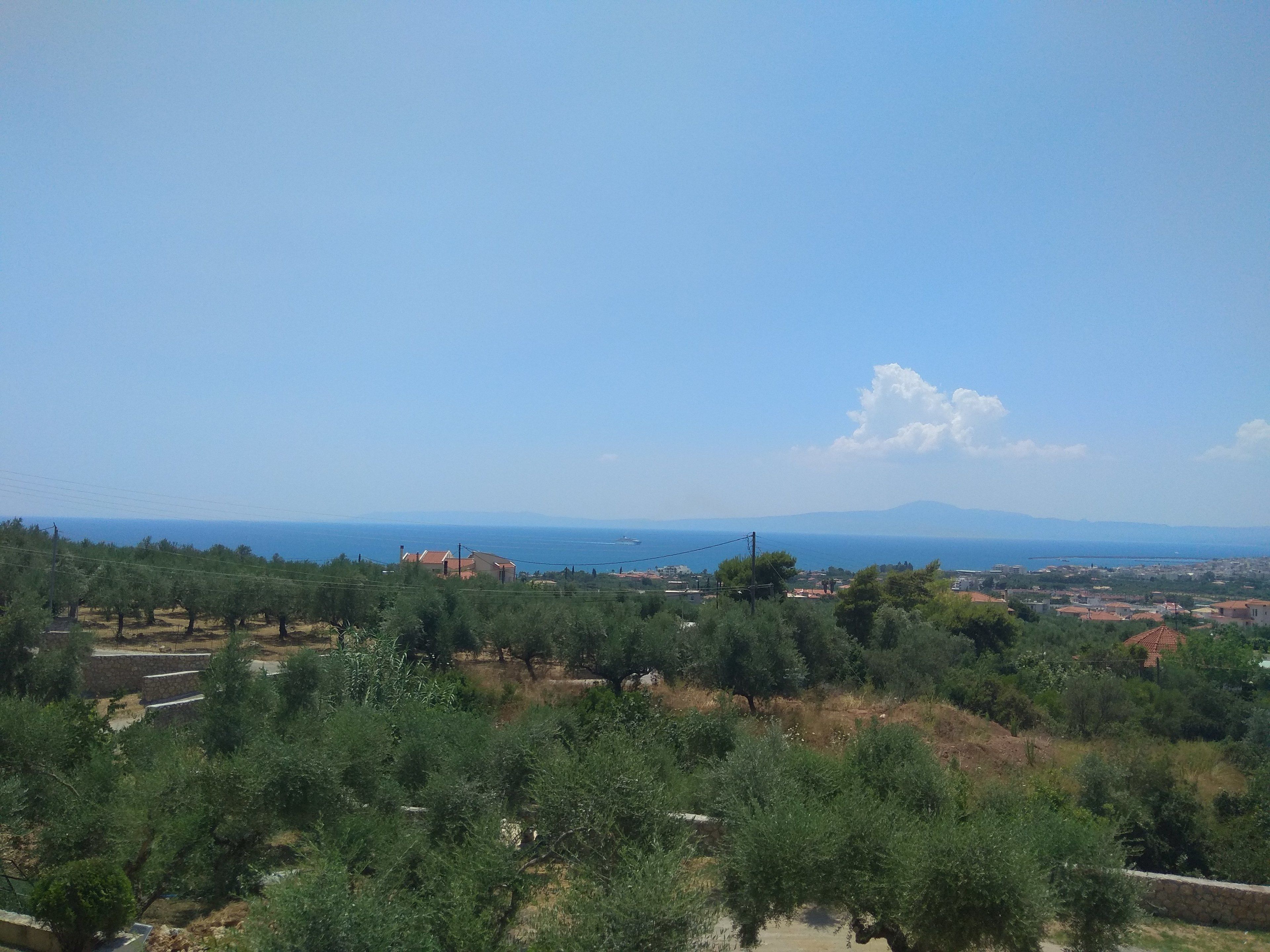 Paisagem costeira com oliveiras, céu limpo e montanhas ao longe.