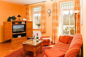 Fernseher