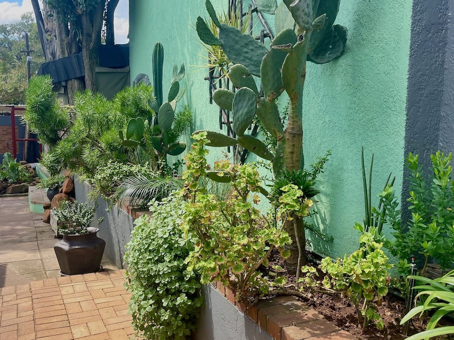 Jardín