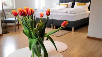 Comfort-Apartment, 2 Schlafzimmer, Talblick | Wohnbereich | Flachbildfernseher, Tischfußball, Tischtennisplatte, Bücher