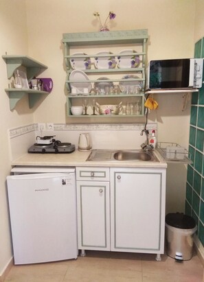 Appartement, uitzicht op tuin | Privékitchenette | Een koelkast, een magnetron, een kookplaat