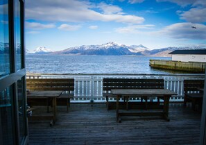 Dormitorio compartido económico, vista al mar | Terraza o patio