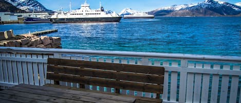 Dormitorio compartido económico, vista al mar | Terraza o patio