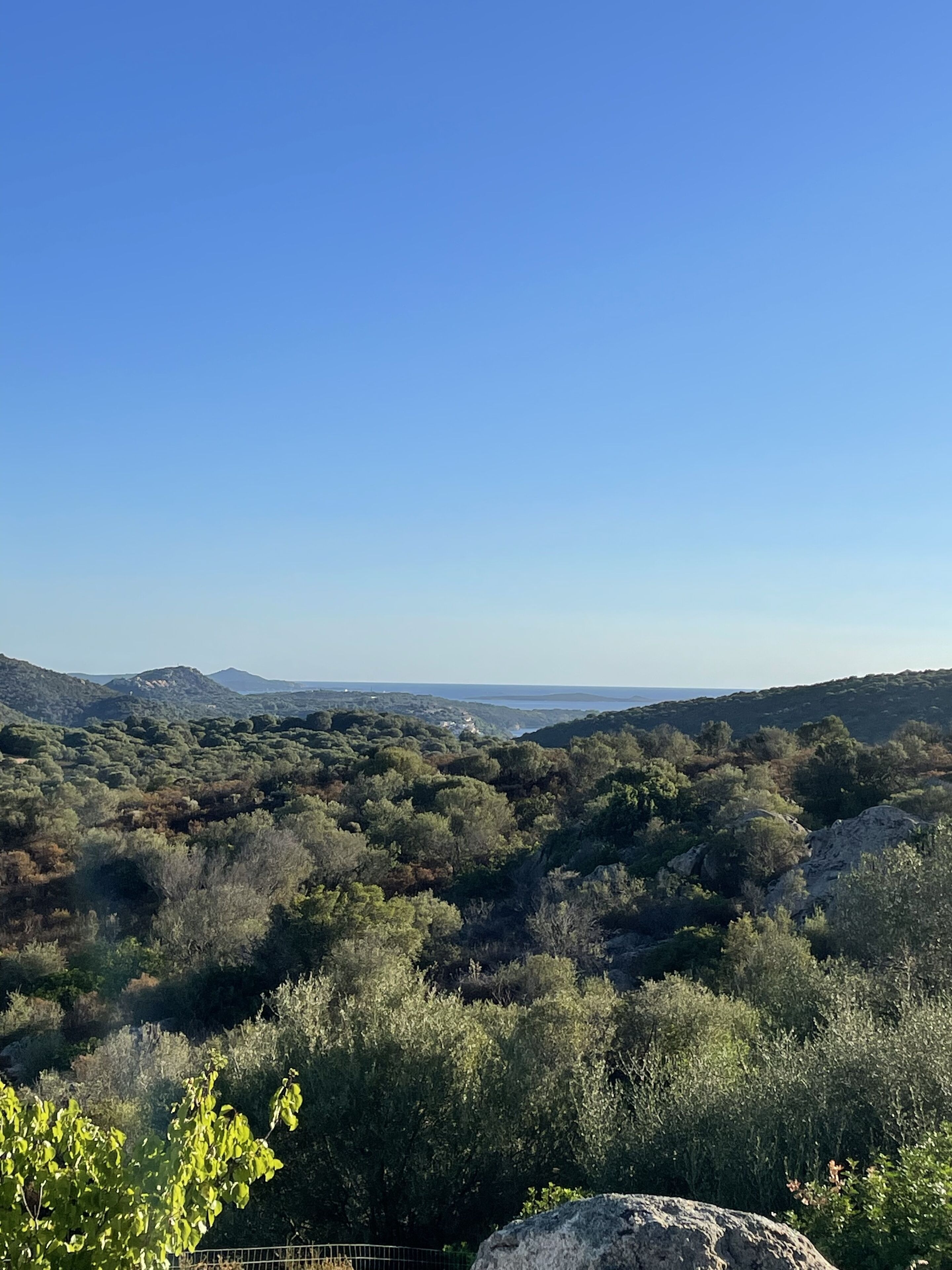 A mountainous landscape with dense vegetation and a clear blue sky.