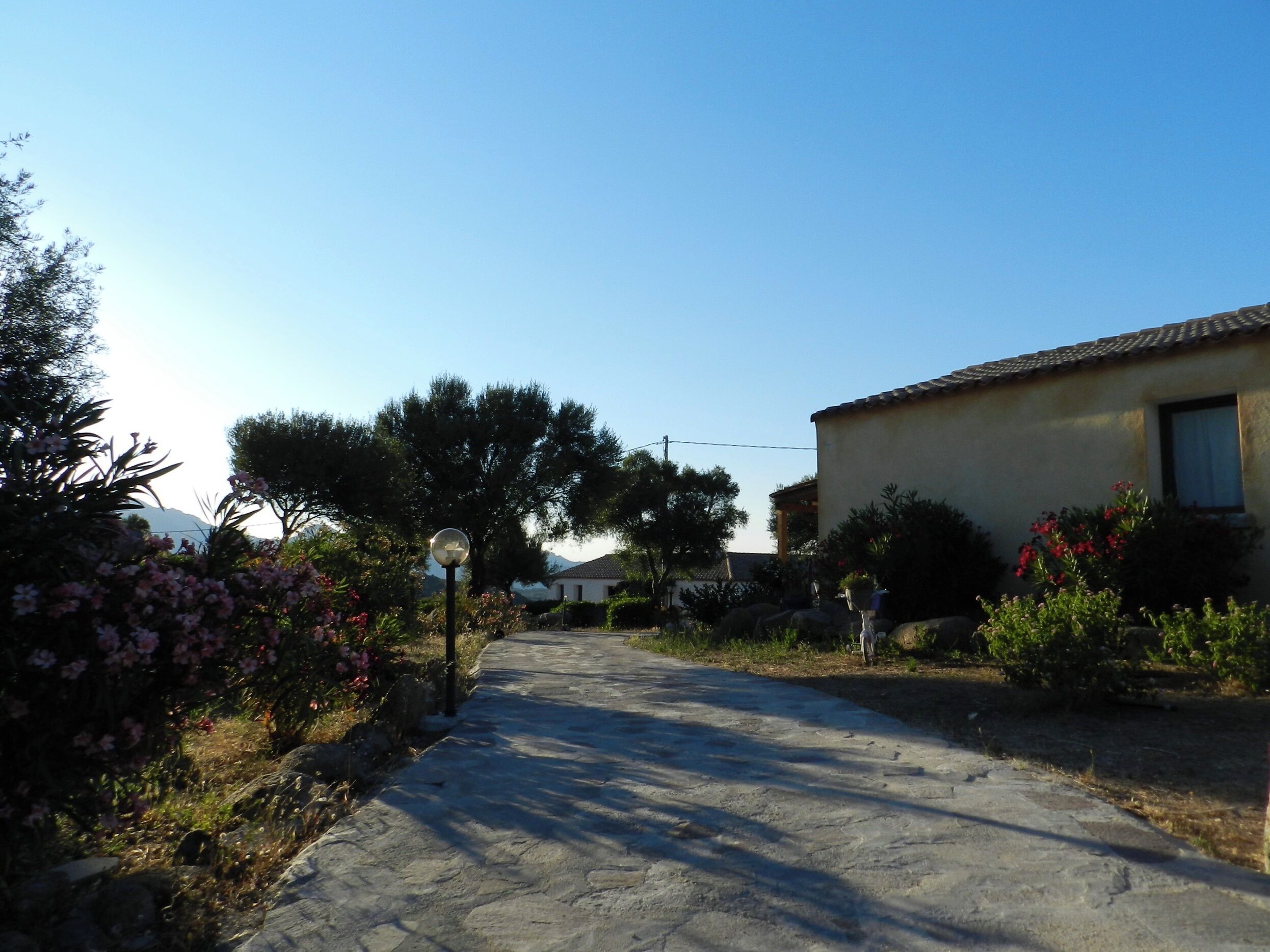 A paved pathway leading to a building with a tiled roof, surrounded by flowering plants and trees.