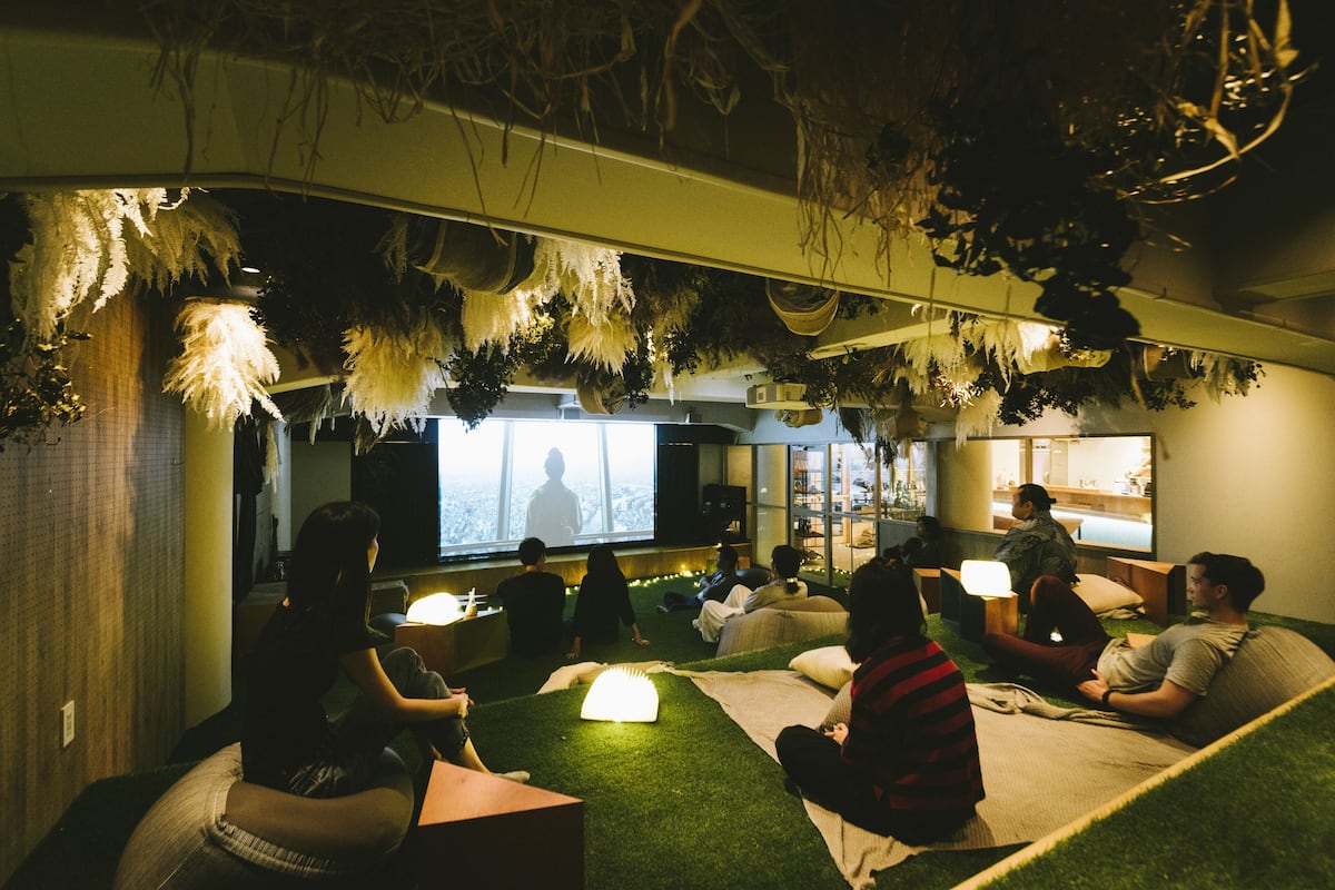 A room with a large screen, green artificial grass, and hanging plants.