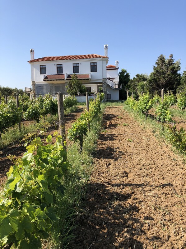 Vue sur le jardin