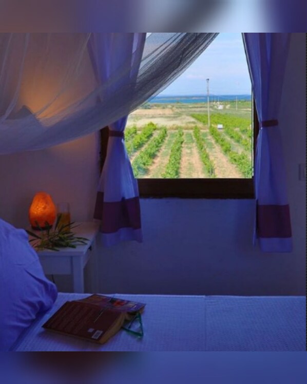 トリプルルーム | 部屋からの景観