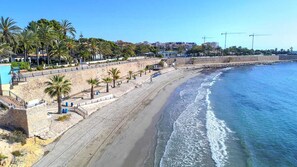 A coastal promenade with a stone wall, palm trees, and a beach.