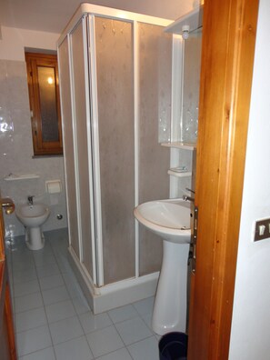 Baño con cabina de ducha, lavamanos y bidé.