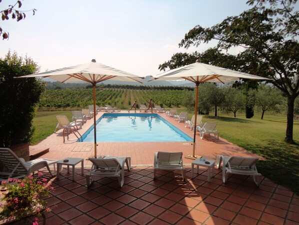 Piscina con sillas de descanso y sombrillas, rodeada de un jardín y un viñedo al fondo.