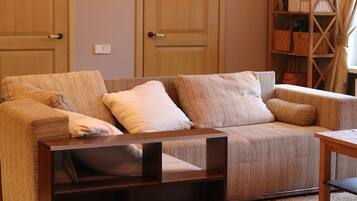 TV, fireplace, books, video library